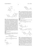 HERBICIDE COMPOSITION diagram and image