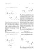 HERBICIDE COMPOSITION diagram and image