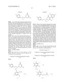 HERBICIDE COMPOSITION diagram and image