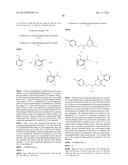 HERBICIDE COMPOSITION diagram and image