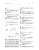 HERBICIDE COMPOSITION diagram and image