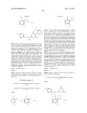 HERBICIDE COMPOSITION diagram and image