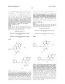 HERBICIDE COMPOSITION diagram and image