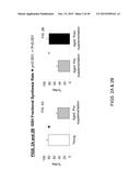 INCREASING GLUTATHIONE LEVELS FOR THERAPY diagram and image