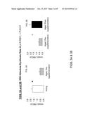 INCREASING GLUTATHIONE LEVELS FOR THERAPY diagram and image