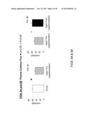 INCREASING GLUTATHIONE LEVELS FOR THERAPY diagram and image