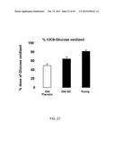 INCREASING GLUTATHIONE LEVELS FOR THERAPY diagram and image