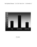 INCREASING GLUTATHIONE LEVELS FOR THERAPY diagram and image