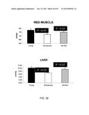 INCREASING GLUTATHIONE LEVELS FOR THERAPY diagram and image