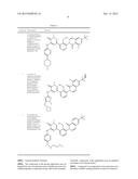 INHIBITORS OF BRUTON S TYROSINE KINASE diagram and image