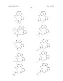 MACROCYCLIC LRRK2 KINASE INHIBITORS diagram and image