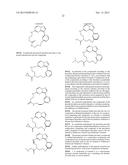 MACROCYCLIC LRRK2 KINASE INHIBITORS diagram and image