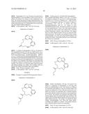 MACROCYCLIC LRRK2 KINASE INHIBITORS diagram and image