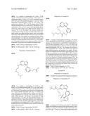 MACROCYCLIC LRRK2 KINASE INHIBITORS diagram and image