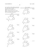 MACROCYCLIC LRRK2 KINASE INHIBITORS diagram and image