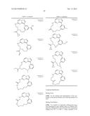 MACROCYCLIC LRRK2 KINASE INHIBITORS diagram and image