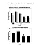 Use of TRPV4 Antagonists to Ameliorate Hydrocephalus and Related Materials     and Methods diagram and image