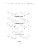 Use of TRPV4 Antagonists to Ameliorate Hydrocephalus and Related Materials     and Methods diagram and image