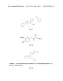 Use of TRPV4 Antagonists to Ameliorate Hydrocephalus and Related Materials     and Methods diagram and image