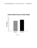 Use of TRPV4 Antagonists to Ameliorate Hydrocephalus and Related Materials     and Methods diagram and image