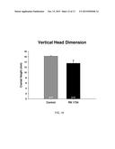 Use of TRPV4 Antagonists to Ameliorate Hydrocephalus and Related Materials     and Methods diagram and image