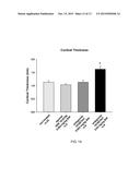 Use of TRPV4 Antagonists to Ameliorate Hydrocephalus and Related Materials     and Methods diagram and image