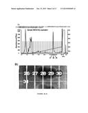 FIRMOCIDIN, AN ANTIMICROBIAL MOLECULE PRODUCED BY STAPHYLOCOCCUS     EPIDERMIDIS diagram and image