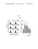 COMPOSITION FOR INHIBITING CELLULAR SENESCENCE COMPRISING     QUERCETIN-3-O-beta-D-GLUCURONIDE diagram and image