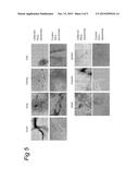 TARGETED INTRACELLULAR DELIVERY OF ANTIVIRAL AGENTS diagram and image