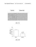 COMPOSITIONS COMPRISING CHALCOGENIDES AND RELATED MATTERS diagram and image