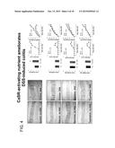 Materials and Methods for Prevention and Treatment of Diarrhea and     Inflammation in the Gastrointestinal Tract diagram and image