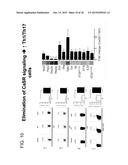 Materials and Methods for Prevention and Treatment of Diarrhea and     Inflammation in the Gastrointestinal Tract diagram and image