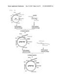 THERAPEUTIC AGENT FOR ISCHEMIC DISEASES diagram and image