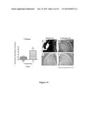 PHENOLIC COMPOSITIONS DERIVED FROM APPLE SKIN AND USES THEREOF diagram and image