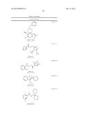 METHODS OF TREATING MUSCULAR DYSTROPHY diagram and image