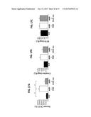 METHODS OF TREATING MUSCULAR DYSTROPHY diagram and image