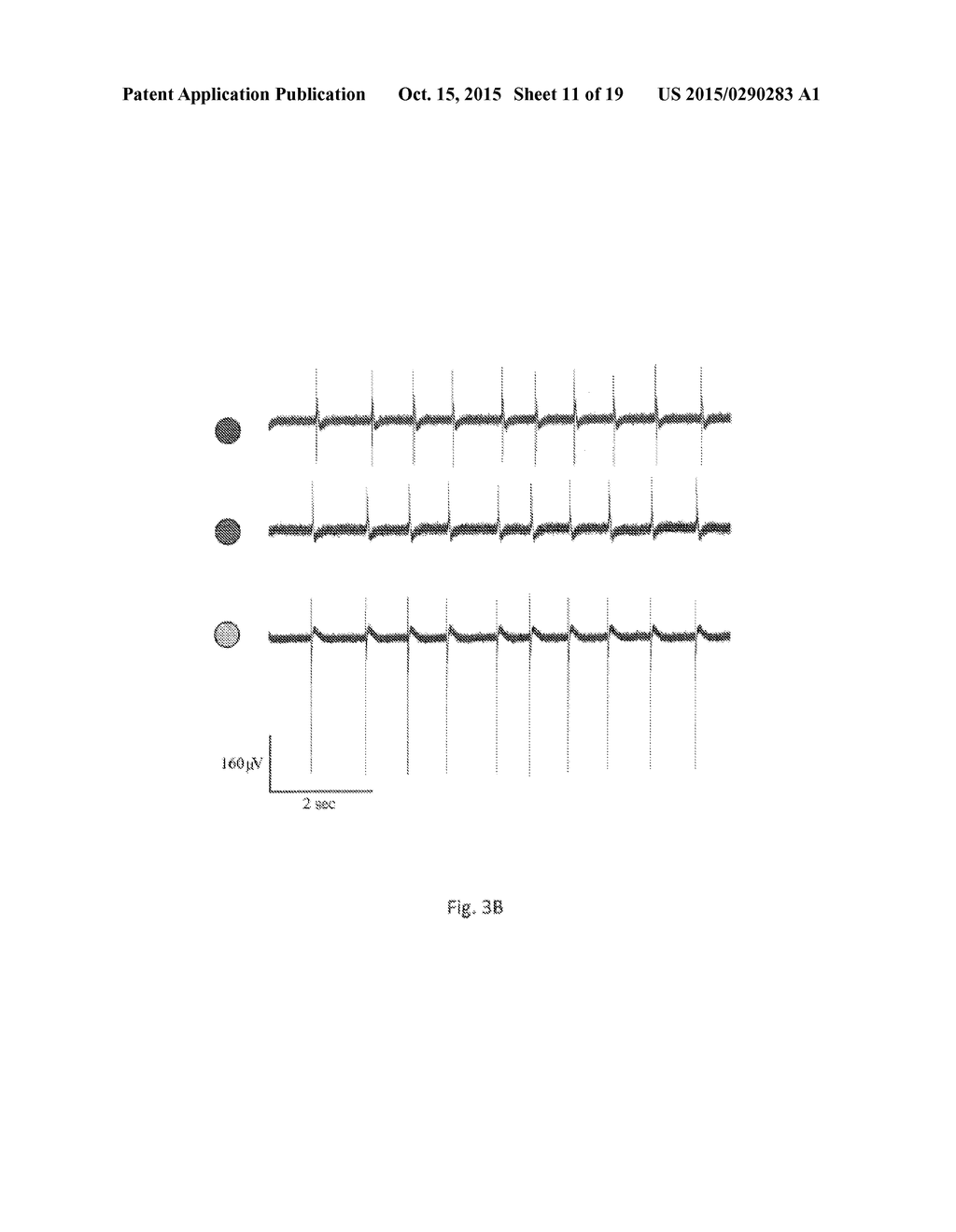 LIGHT-SENSITIVE PUMPS FOR SUPPRESSION OF CARDIAC ACTIVITY - diagram, schematic, and image 12