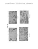 ANGIOGENIC CONDITIONING TO ENHANCE CARDIAC CELLULAR REPROGRAMMING OF     FIBROBLASTS OF THE INFARCTED MYOCARDIUM diagram and image