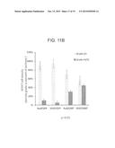 ANGIOGENIC CONDITIONING TO ENHANCE CARDIAC CELLULAR REPROGRAMMING OF     FIBROBLASTS OF THE INFARCTED MYOCARDIUM diagram and image