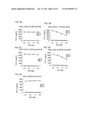 NEIL3 PEPTIDES AND VACCINES INCLUDING THE SAME diagram and image