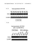 NEIL3 PEPTIDES AND VACCINES INCLUDING THE SAME diagram and image