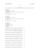 NEIL3 PEPTIDES AND VACCINES INCLUDING THE SAME diagram and image