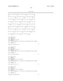 NEIL3 PEPTIDES AND VACCINES INCLUDING THE SAME diagram and image