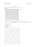 COMBINATION OF ANTI-KIR ANTIBODIES AND ANTI-PD-1 ANTIBODIES TO TREAT     CANCER diagram and image