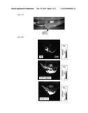 CONTRAST AGENT FOR PHOTOACOUSTIC IMAGING diagram and image