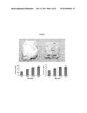 Small molecule drug release from in situ forming degradable scaffolds     incorporating hydrogels and bioceramic microparticles diagram and image