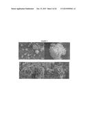 Small molecule drug release from in situ forming degradable scaffolds     incorporating hydrogels and bioceramic microparticles diagram and image