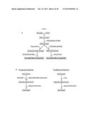 Small molecule drug release from in situ forming degradable scaffolds     incorporating hydrogels and bioceramic microparticles diagram and image