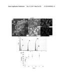 Small molecule drug release from in situ forming degradable scaffolds     incorporating hydrogels and bioceramic microparticles diagram and image