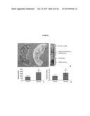 Small molecule drug release from in situ forming degradable scaffolds     incorporating hydrogels and bioceramic microparticles diagram and image